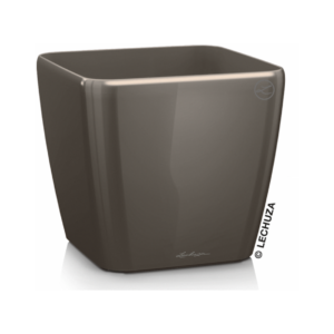 Quadro taube altakasteluruukku  ∅35cm, korkeus 33cm