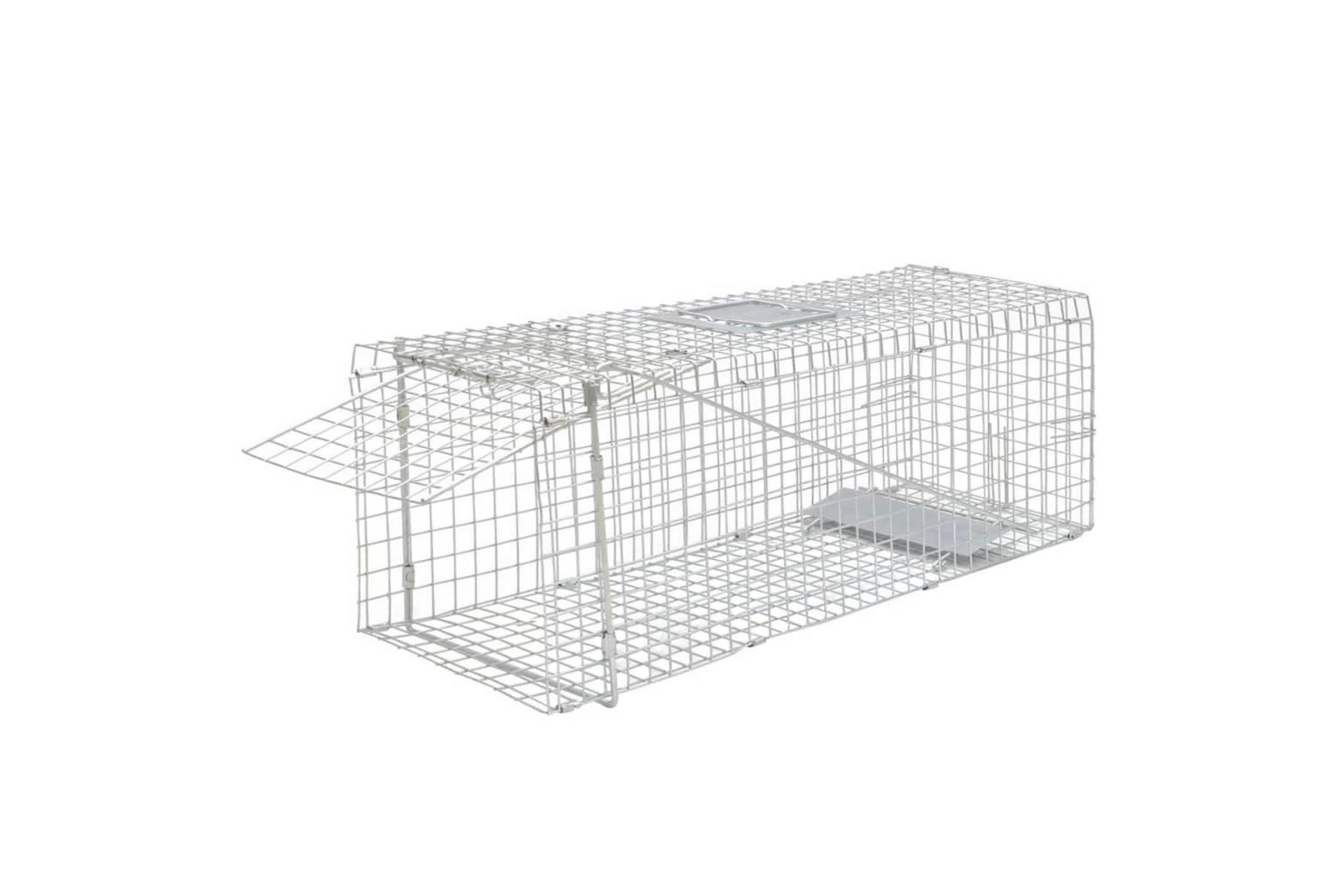 Galvanoitu Elävä Ansa 80 cm -
