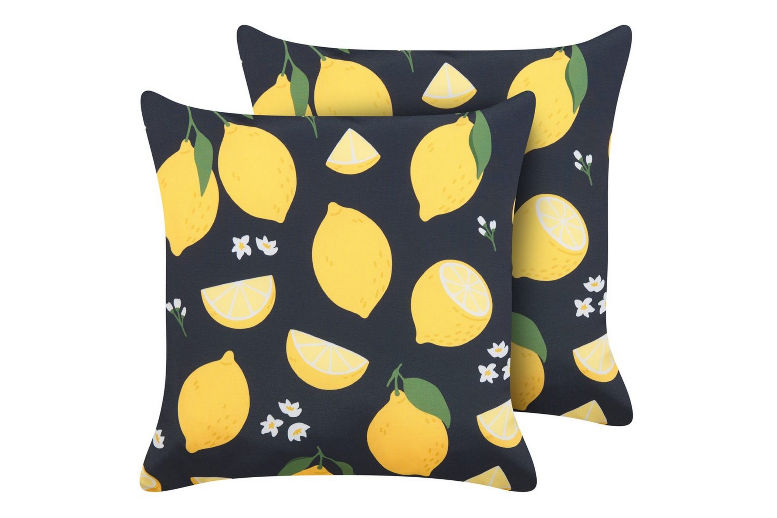 Koristetyynyt Citrus setti 2 -