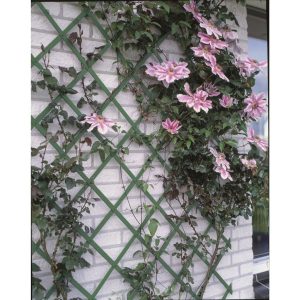 Nature Puutarhasäleikkö 50x150 cm PVC Vihreä 6040702 - Vihreä