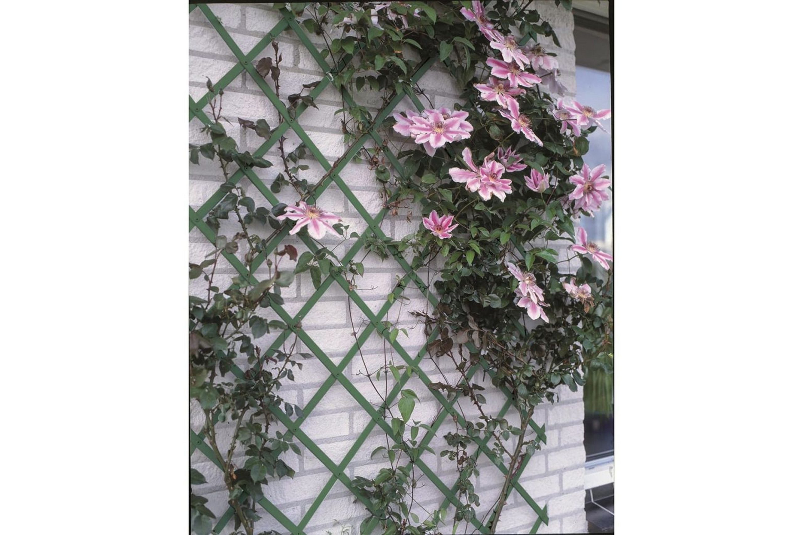Nature Puutarhasäleikkö 50x150 cm PVC Vihreä 6040702 - Vihreä