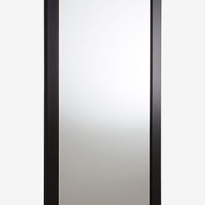 ENVY peili 40x80 cm