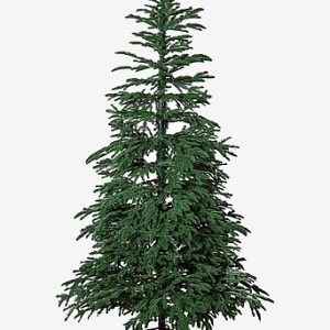 Joulukuusi Edane 210 cm