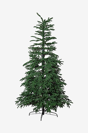 Joulukuusi Edane 210 cm