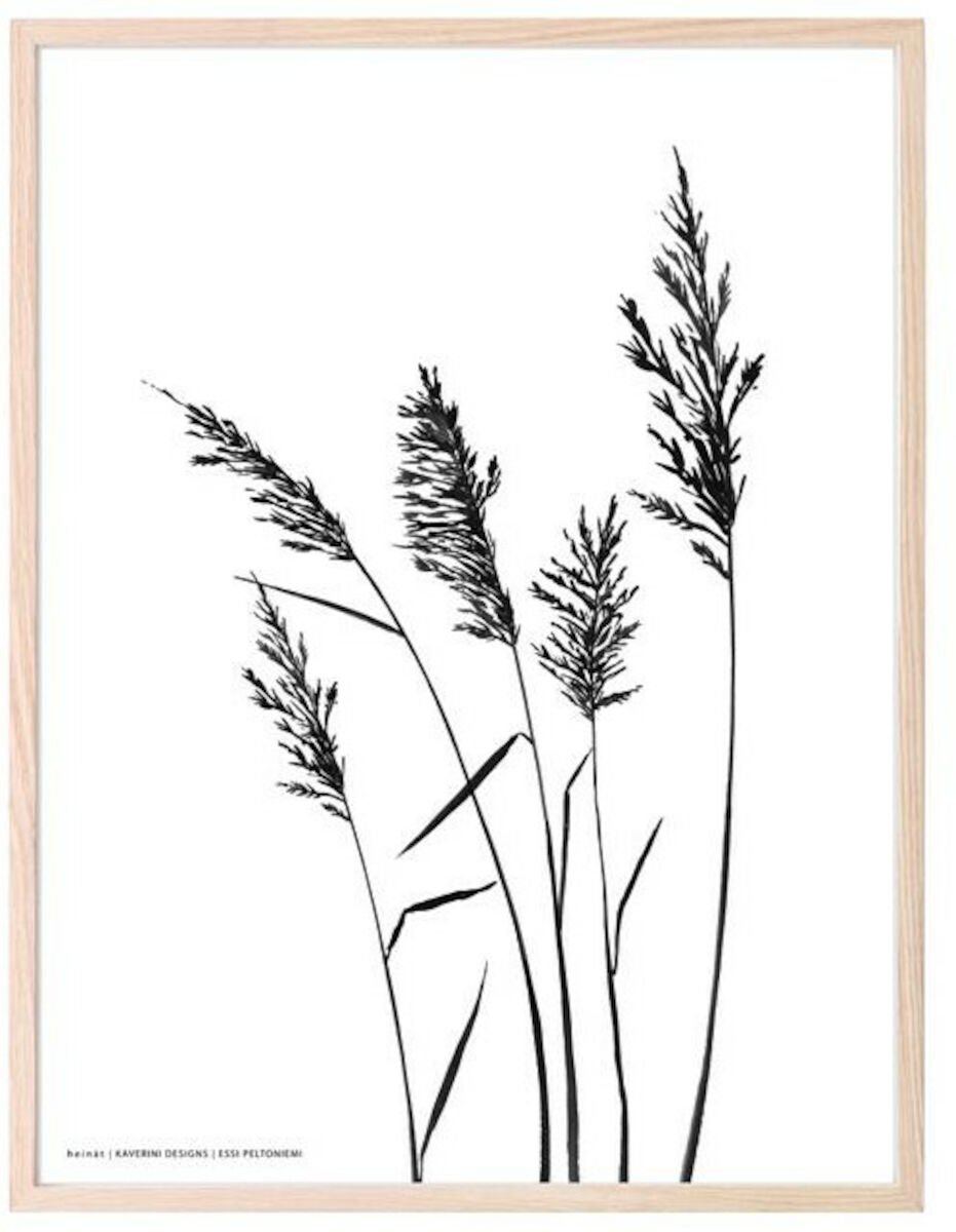 Kaverini Heinät juliste 50x70 cm